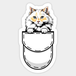 Funny Ragamuffin Pocket Cat Sticker